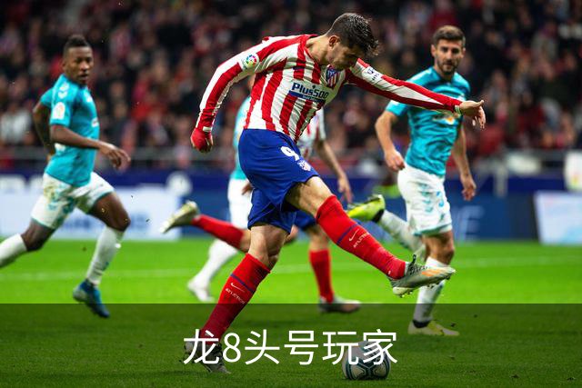 龙8头号玩家公司简介图片